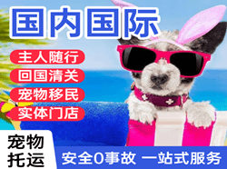 贵阳机场快运国际宠物托运 【国